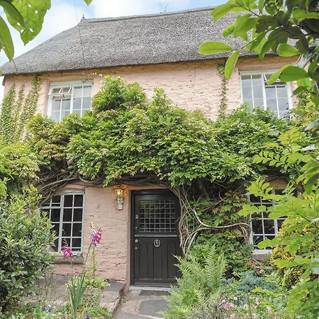 Laurel Cottage Stoke Gabriel Bagian luar foto
