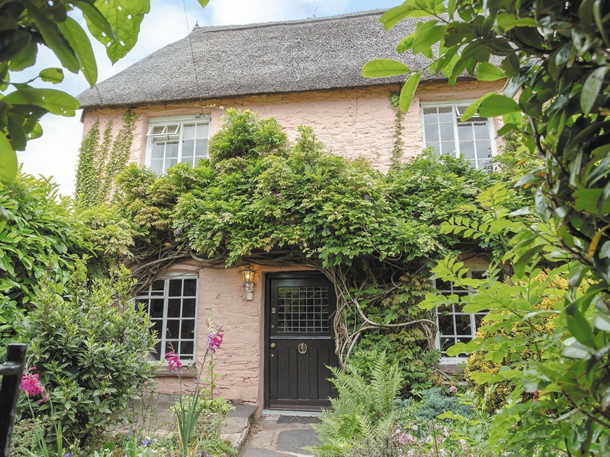 Laurel Cottage Stoke Gabriel Bagian luar foto